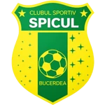 CS Spicul Bucerdea