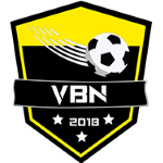 ACS Viitorul Bucureștii Noi