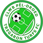 Tregaron Turfs FC