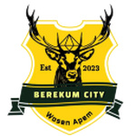Berekum City FC