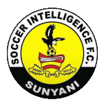 Sunyani Soccer Intelligence FC