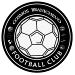 FC Cosmos Branichevo