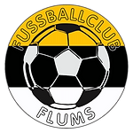 FC Flums