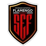 Flamengo-SE U20