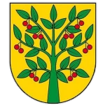 Amazonka Wiśniew