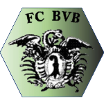FC Basler V. Betriebe