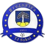 FK TJ Sokol Brezovica nad Torysou