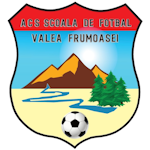 ACS Școala de Fotbal Valea Frumoasei