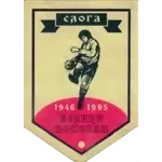 FK Sloga 1952 Veliki Popovac