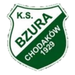 Bzura Chodaków
