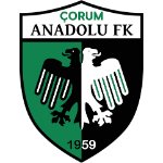 Çorum Anadolu FK