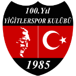 100. Yıl Yiğitlerspor