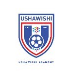 Ushawishi Academy