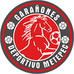 Deportivo Metepec