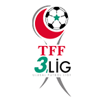 TFF 3. Lig, Playoffs