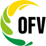 2. Liga OFV