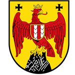 BFV Cup