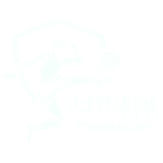 Debmarine Namibia Premiership