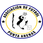 Asociación de Fútbol de Punta Arenas, Campeonato Oficial