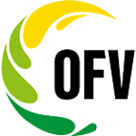 3. Liga OFV