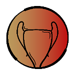 A.F. Vila Real Taça Distrital