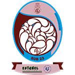 U23 A.F. Viseu Taça Distrital