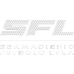 Sekmadienio Futbolo Lyga A