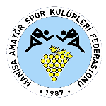 Manisa 2. Amatör Ligi