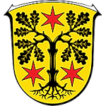 U19 Sparkassen Kreispokal Odenwald