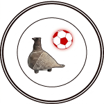 Liga Juniora NS Vukovar U19