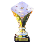 Amateur Championship of Crimea