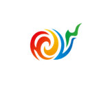 Northeast Region City Football League