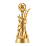 Ukraine Cup